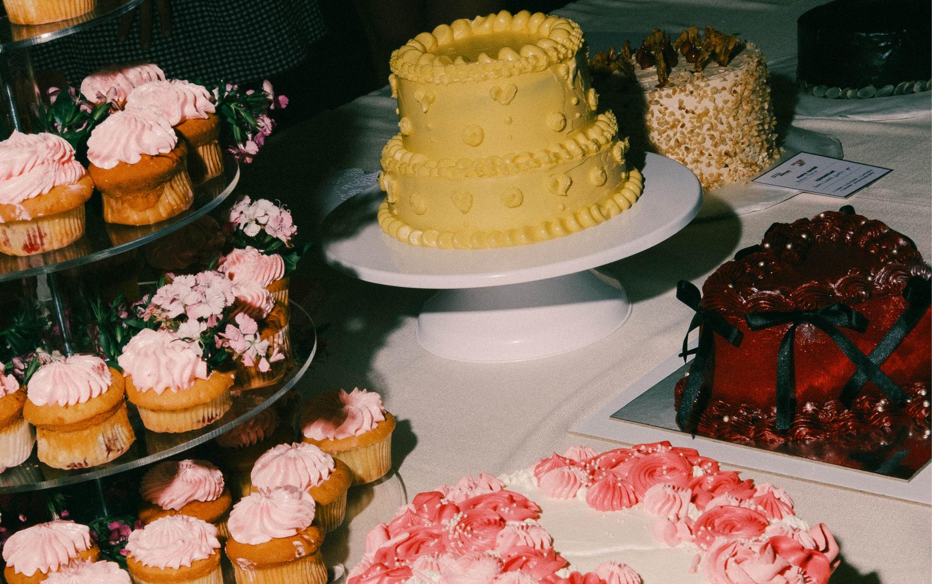 1017×638_cakepicnic3.jpg